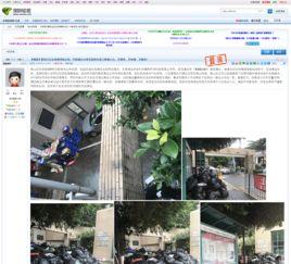 今日深圳网友爆料,惊现神秘事件，城市夜生活再掀波澜！