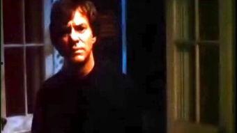 豹妹在线观看,揭秘神秘网络直播背后的故事