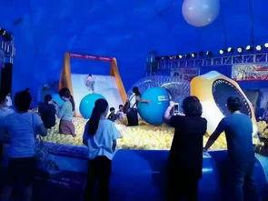 新爆料鲸鱼岛事件视频,揭秘神秘现象背后的真相