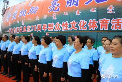 内蒙古文体在线观看,畅享草原文化盛宴