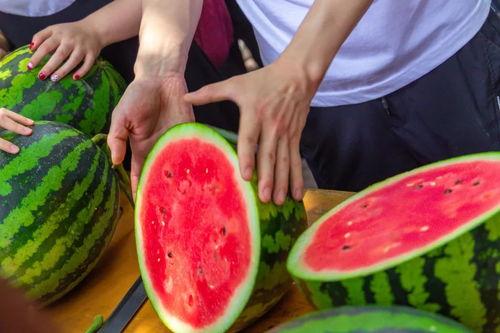 陕西吃瓜大学免费吃,免费美食盛宴，学子们的幸福日常