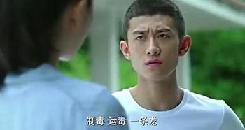 余罪第一部在线观看,网罗罪恶，正义归来