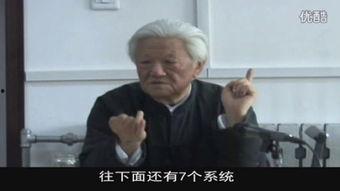 本能2手机版在线观看,激情燃烧的续集，在线观看带你重返惊险刺激的战场