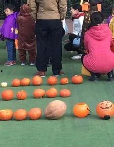 父亲大爆料幼儿园视频,父亲大爆料视频背后的温馨瞬间