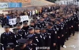 缉毒群英在线观看,在线揭秘生死较量