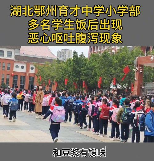 湖北记者爆料新闻视频,揭秘新闻视频背后的真相