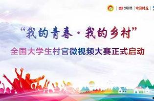 今日头条爆料村官视频,揭秘农村基层治理现状