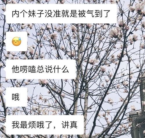 老福特圈内人爆料,揭秘圈内不为人知的秘密