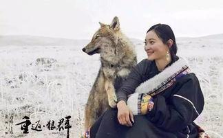 我是狼电影在线观看,揭秘神秘狼族，探寻人性与野性的边界